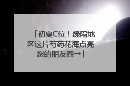 初夏C位！绿隔地区这片芍药花海点亮您的朋友圈→