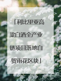 利比里亚高粱白酒全产业链项目落地自贸雨花区块