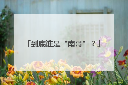 到底谁是“南哥”？
