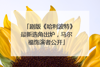 剧版《哈利波特》最新选角出炉，马尔福饰演者公开