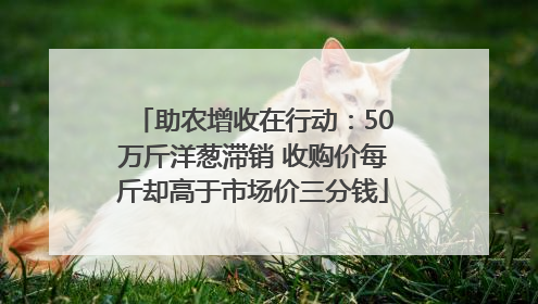助农增收在行动：50万斤洋葱滞销 收购价每斤却高于市场价三分钱