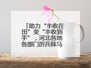 助力“丰收在田”变“丰收到手”，河北各地各部门厉兵秣马迎战“三夏”