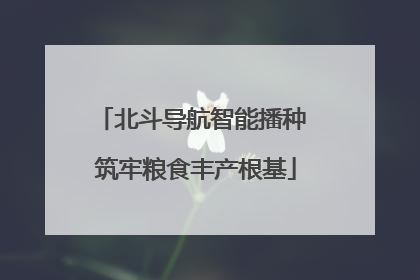 北斗导航智能播种 筑牢粮食丰产根基