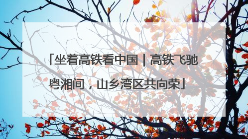坐着高铁看中国｜高铁飞驰粤湘间，山乡湾区共向荣