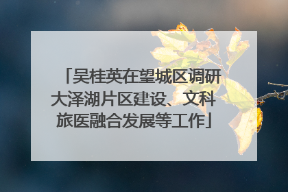 吴桂英在望城区调研大泽湖片区建设、文科旅医融合发展等工作