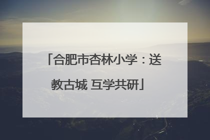 合肥市杏林小学：送教古城 互学共研