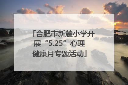 合肥市新麓小学开展“5.25”心理健康月专题活动