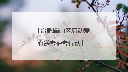 合肥蜀山区启动爱心送考护考行动