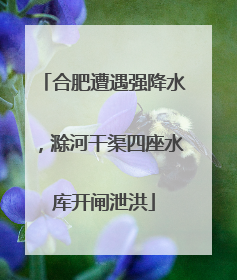 合肥遭遇强降水，滁河干渠四座水库开闸泄洪