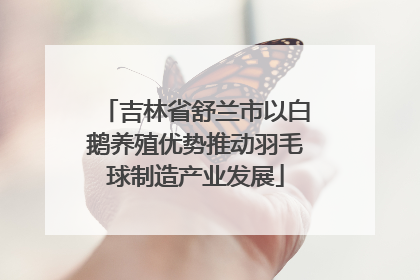 吉林省舒兰市以白鹅养殖优势推动羽毛球制造产业发展