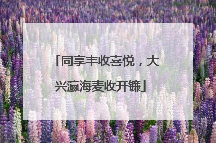 同享丰收喜悦，大兴瀛海麦收开镰