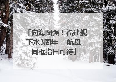 向海图强！福建舰下水3周年 三航母同框指日可待