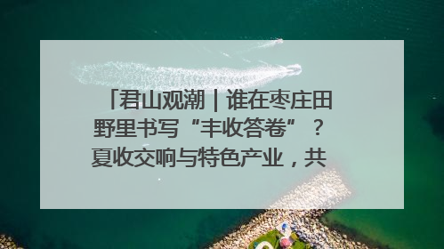 君山观潮｜谁在枣庄田野里书写“丰收答卷”？夏收交响与特色产业，共绘乡村振兴新图景