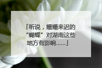 听说，姗姗来迟的“蝴蝶”对湖南这些地方有影响……