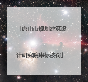 唐山市规划建筑设计研究院串标被罚