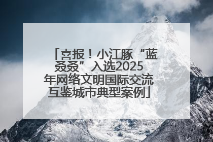 喜报！小江豚“蓝叒叒”入选2025年网络文明国际交流互鉴城市典型案例