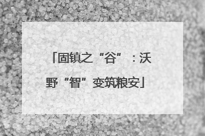 固镇之“谷”：沃野“智”变筑粮安