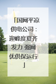 国网平凉供电公司：迎峰度夏齐发力 强网优供保运行