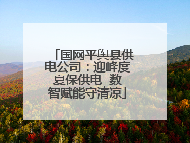 国网平舆县供电公司：迎峰度夏保供电  数智赋能守清凉