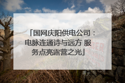 国网庆阳供电公司：电脉连通诗与远方 服务点亮露营之光