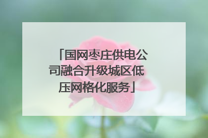 国网枣庄供电公司融合升级城区低压网格化服务