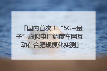国内首次！“5G+量子”虚拟电厂调度车网互动在合肥规模化实测