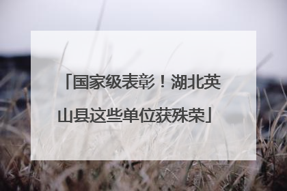 国家级表彰！湖北英山县这些单位获殊荣