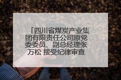 四川省煤炭产业集团有限责任公司原党委委员、副总经理张万松 接受纪律审查和监察调查
