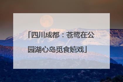 四川成都：苍鹭在公园湖心岛觅食嬉戏