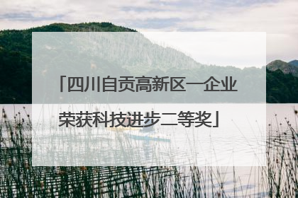 四川自贡高新区一企业荣获科技进步二等奖