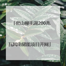 密山柳毛湖200兆瓦风电储能项目并网