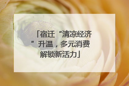 宿迁“清凉经济”升温，多元消费解锁新活力