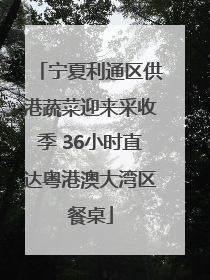 宁夏利通区供港蔬菜迎来采收季 36小时直达粤港澳大湾区餐桌