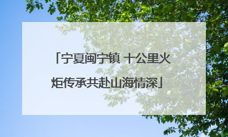宁夏闽宁镇 十公里火炬传承共赴山海情深