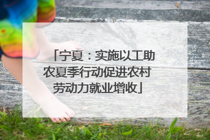 宁夏：实施以工助农夏季行动促进农村劳动力就业增收