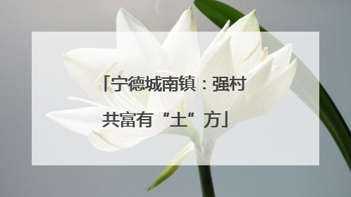 宁德城南镇：强村共富有“土”方