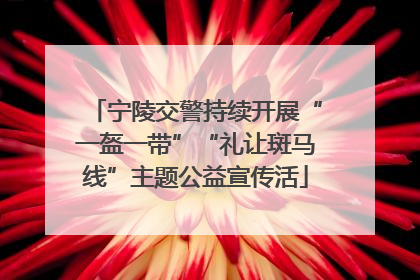 宁陵交警持续开展“一盔一带”“礼让斑马线”主题公益宣传活