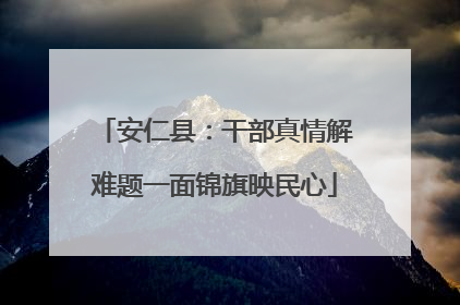 安仁县：干部真情解难题一面锦旗映民心