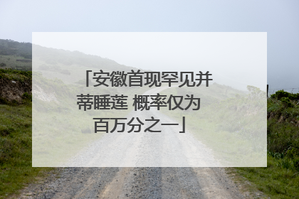 安徽首现罕见并蒂睡莲 概率仅为百万分之一