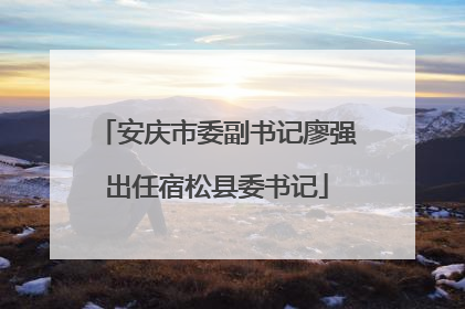 安庆市委副书记廖强出任宿松县委书记
