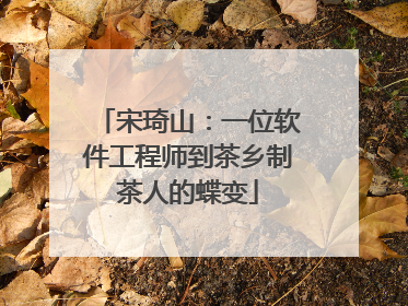 宋琦山：一位软件工程师到茶乡制茶人的蝶变