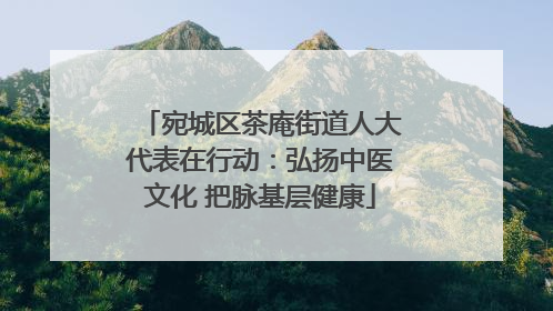 宛城区茶庵街道人大代表在行动：弘扬中医文化 把脉基层健康