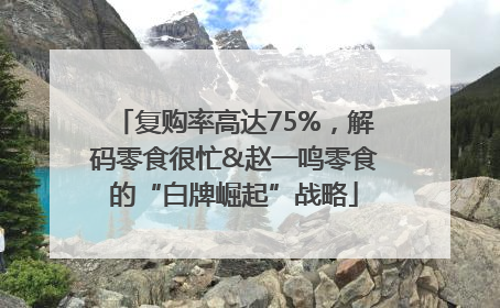 复购率高达75%，解码零食很忙&赵一鸣零食的“白牌崛起”战略