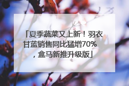夏季蔬菜又上新！羽衣甘蓝销售同比猛增70%，盒马新推升级版