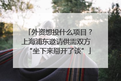 外资想投什么项目？上海浦东邀请供需双方“坐下来掰开了谈”