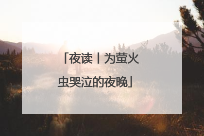 夜读丨为萤火虫哭泣的夜晚
