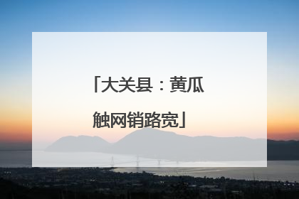 大关县：黄瓜触网销路宽