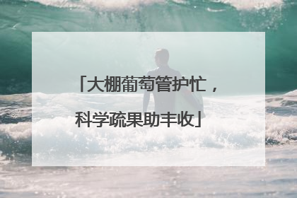 大棚葡萄管护忙，科学疏果助丰收