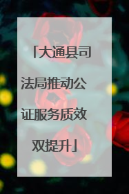 大通县司法局推动公证服务质效双提升