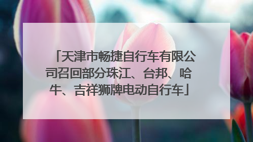 天津市畅捷自行车有限公司召回部分珠江、台邦、哈牛、吉祥狮牌电动自行车